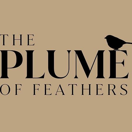 The Plume Of Feathers Farnham  Exterior photo
