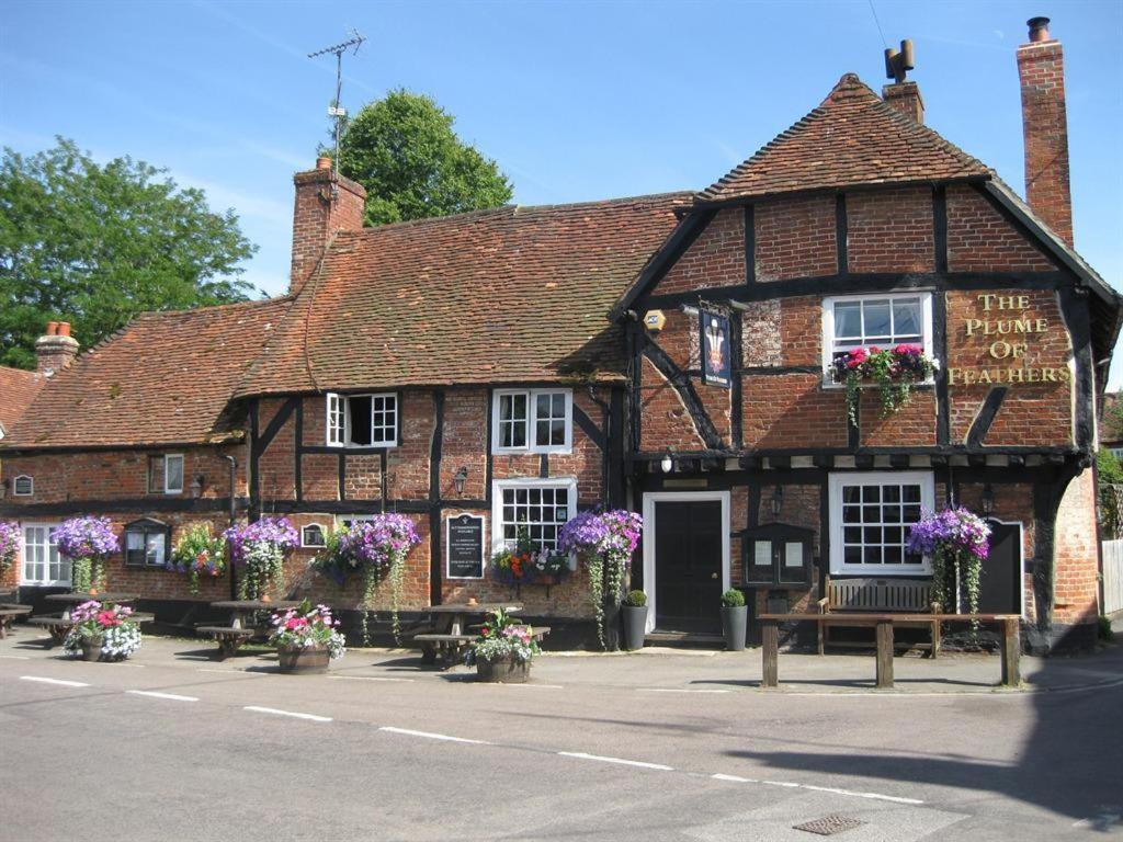The Plume Of Feathers Farnham  Exterior photo